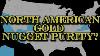 Testing Gold Nugget Karat Purity North America
