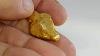 The Goldfish 27 66 Gram Alaskan Bc Natural Gold Nugget