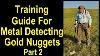 The Prospector S Guide To Gold Nugget Metal Detecting Part 2 Tips And Techniques For Success