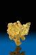 Very Rare Natural Crystalized Gold Nugget Specimen Round Mountain
