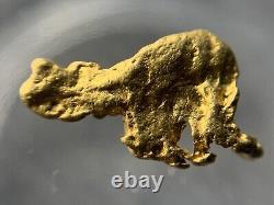 Very Unique Natural Gold Nugget Western Australia Dinosaur pendant piece