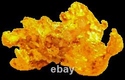 West australian high purity rare natural pilbara gold nugget weight 25.5 grams