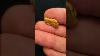 What Is The Biggest Gold Nugget I Have Found Faq 1
