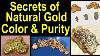 What Purity Is Natural Gold Is It Always Or Nearly Always The Same Natural Gold Is Never Pure